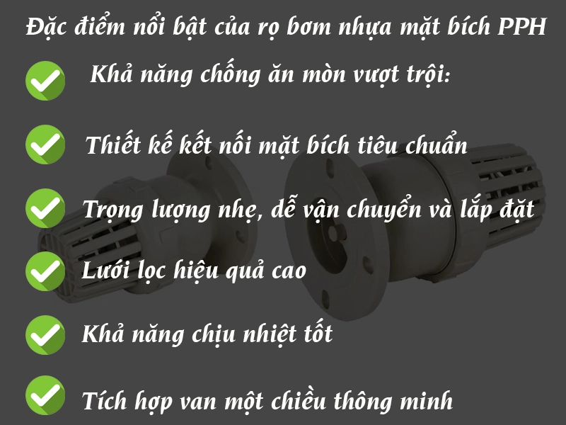 Đặc điểm nổi bật của ro bơm nhựa mặt bích PPH
