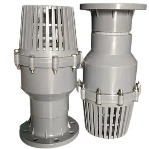 Rọ bơm nhựa mặt bích PVC