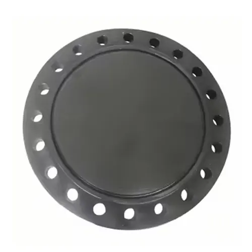 Mặt bích mù uPVC