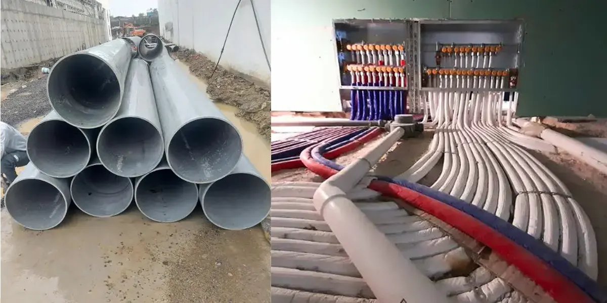 Nguyên tắc đánh giá mức độ kháng hóa chất