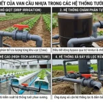 Ứng Dụng Chi Tiết Của Van Cầu Nhựa Trong Các Hệ Thống Tưới Tiêu Chính Xác